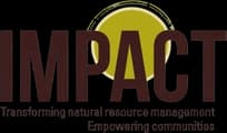 IMPACT